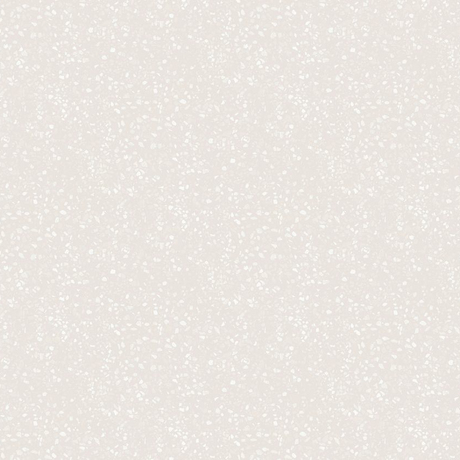 89295948-d315-11ef-a81e-b42e996a4a5d_ccddd8f4-0b91-11f0-a840-b42e996a4a5d